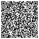 QR code with Practical Approaches contacts