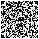 QR code with Pure Inside Numbers contacts