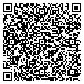 QR code with Dlw Inc contacts