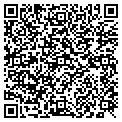 QR code with Tiselle contacts
