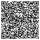 QR code with Publishing Alliance contacts