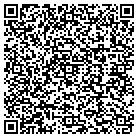 QR code with Publishing Solutions contacts