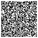 QR code with Publish or Perish Inc contacts