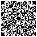QR code with Psi Disposal contacts
