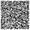 QR code with Blue Ridge Disposal contacts