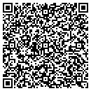 QR code with Pure Silver Publishing contacts