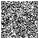 QR code with Professional Success Florida Inc contacts