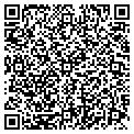 QR code with D W Gross Inc contacts