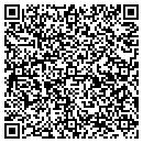 QR code with Practical Payroll contacts