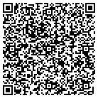 QR code with Public Safety Dmv Office contacts