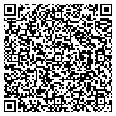 QR code with Project Axis contacts