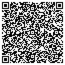 QR code with Publishing Project contacts