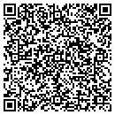 QR code with Publish With Connie contacts