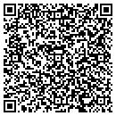 QR code with Practica Group LLC contacts