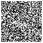 QR code with Pediatric Medical Assoc contacts
