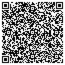 QR code with Publishing Phoenix contacts