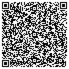 QR code with Public Safety Department contacts