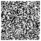 QR code with Public Safety Department contacts