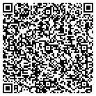 QR code with Public Safety Department contacts