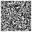QR code with Press To Net contacts