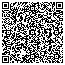 QR code with Purdy & Sons contacts