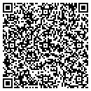 QR code with Pro-Logic Corp contacts