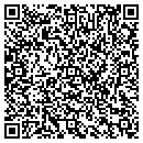 QR code with Publishers Circulation contacts