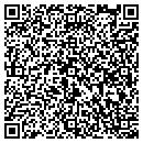 QR code with Publishing Sentinel contacts