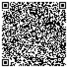 QR code with Punctilious Publications contacts