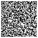 QR code with Public Safety Service contacts