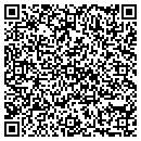 QR code with Public Library contacts
