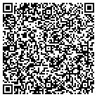 QR code with Publishing Concepts contacts