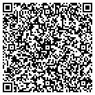 QR code with Publishing Solutions LLC contacts