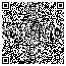 QR code with Blue Cube Storage LLC contacts