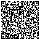 QR code with Bison Music Publishing contacts