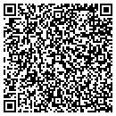 QR code with Problem Child Press contacts