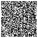 QR code with Cyber Solutions Inc contacts