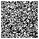 QR code with Christian Dinesau contacts