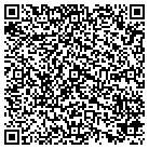 QR code with Esteem Technology Concepts contacts