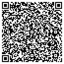 QR code with Publishing Made Easy contacts