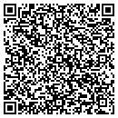 QR code with Professional Growth System contacts