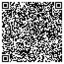 QR code with Steiger Zwi contacts