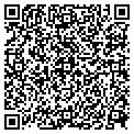QR code with Magmata contacts