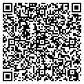 QR code with T Chen contacts