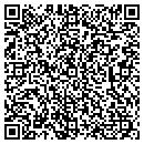 QR code with Credit Systems Design contacts