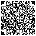 QR code with Nseam contacts