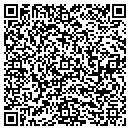 QR code with Publishing Solutions contacts