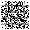 QR code with Puzzlebox Press contacts