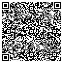 QR code with Pyramid Publishing contacts