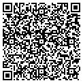 QR code with Toltec contacts